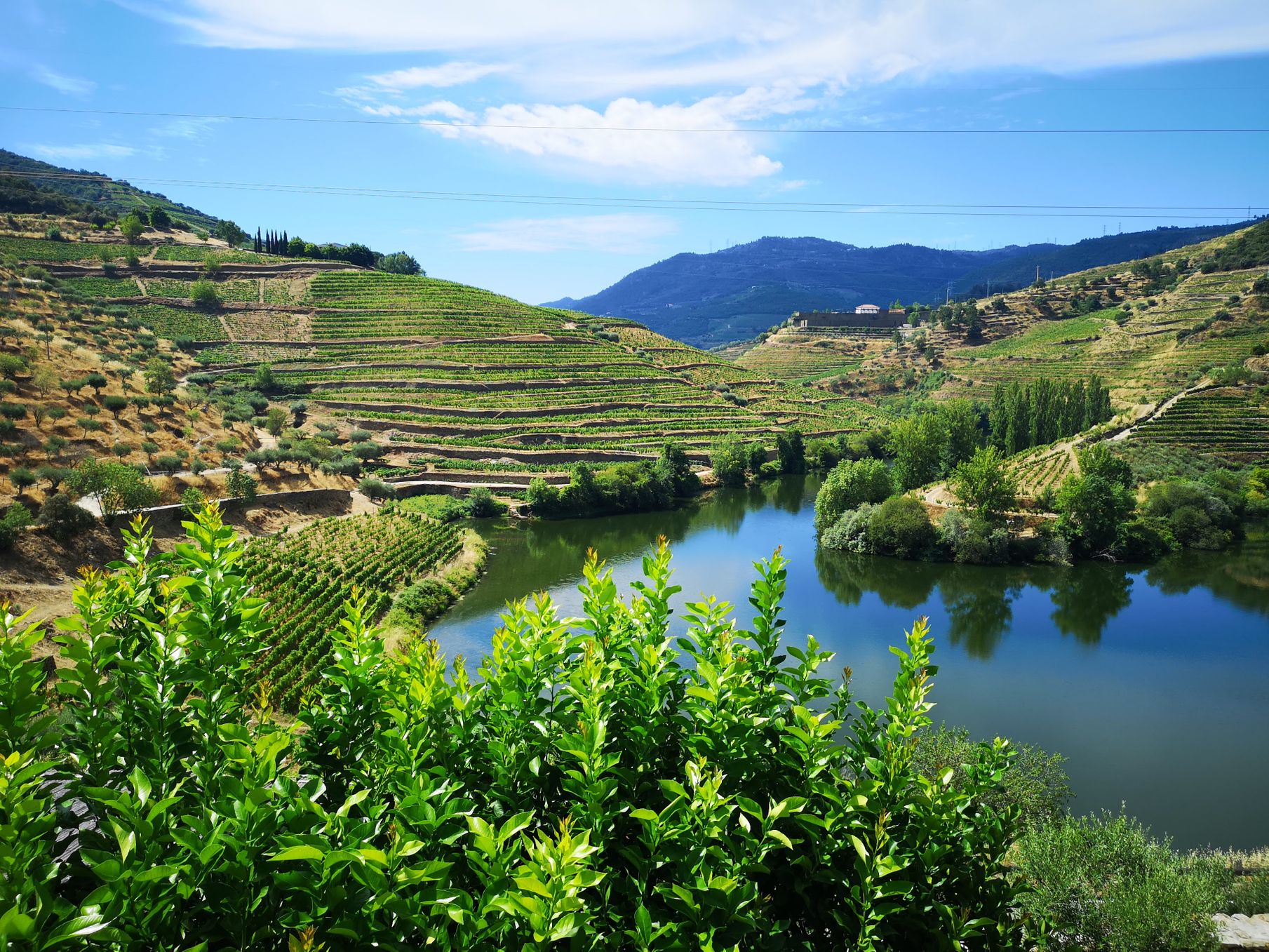 Douro Valley
